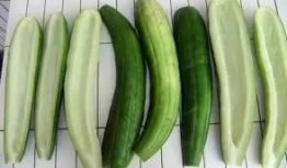 娱乐吃瓜酱浙江,揭秘浙江娱乐圈的那些事儿